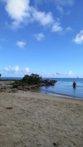 Φυσικό τοπίο κοντά σε αυτή η εξοχική κατοικία +2 φωτογραφίες