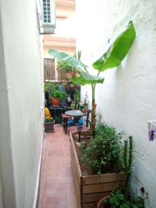 a courtyard with plants and a table and chairs at Cave house in Heraklio Town