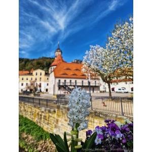 a bouquet of flowers in front of a building at Tinyroom mit Ausblick in Königstein an der Elbe
