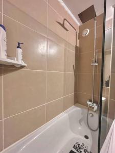 un baño con ducha y bañera en Centro Temuco, en Temuco