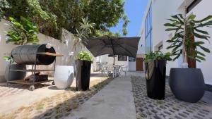 Cozy Appartement in a Villa close to Mahaj Riad Rabat في الرباط: مجموعة من النباتات الفخارية ومظلة على الرصيف