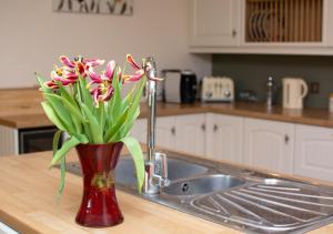 サーズフォードにあるFoden Lodgeの台所用カウンターに座る花瓶 +38枚の写真