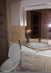 een badkamer met een toilet en een wastafel bij Saunallinen yksiö in Pieksamaki
