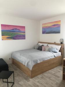 a bedroom with a bed with two paintings on the wall at Apartmán X28 in Mikulov