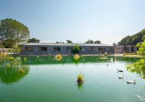 a pond with ducks and a building in the background at Muntjac Barn in Briston