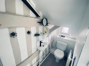 a small bathroom with a toilet and a sink at Le studio L'anodin - centre rive droite - 227 in Rouen