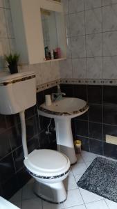 La salle de bains est pourvue de toilettes et d'un lavabo. dans l'établissement Apartman Anastasija, à Banja Luka