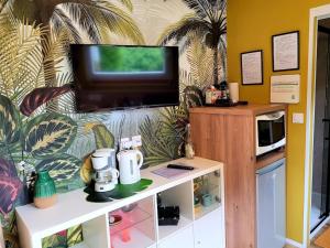 uma sala de estar com uma televisão na parede em Copacabana TINY HOUSE studio terrasse jardin em Saint-Aignan-Grand-Lieu