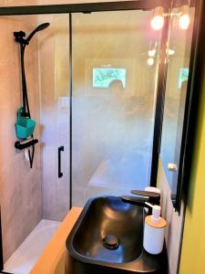 uma casa de banho com um lavatório e um chuveiro em Copacabana TINY HOUSE studio terrasse jardin em Saint-Aignan-Grand-Lieu