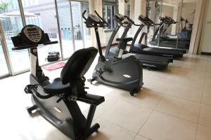 Fitness centrum a/nebo fitness zařízení v ubytování Art Spa Hotel