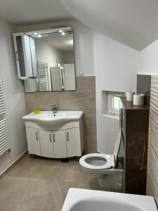 a bathroom with a sink and a toilet and a mirror at Casa Livezeni in Livezeni +17 photos