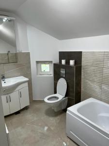 a bathroom with a toilet and a sink and a tub at Casa Livezeni in Livezeni