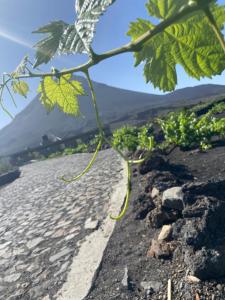 Peisaj natural din apropierea acestui B&B
