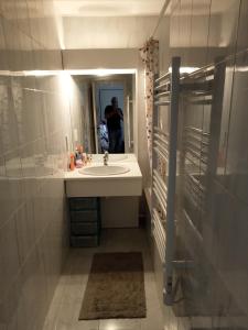 un bagno con lavandino e una persona nello specchio di Studio calme vue mer pieds dans l'eau a Saint-Raphaël