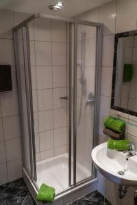 菲斯的住宿－Chalet Alpenblick，带淋浴和盥洗盆的浴室