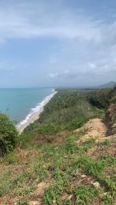 a view of the ocean from a hill with a beach at Private Beach with a Jungle Loft in Palomino