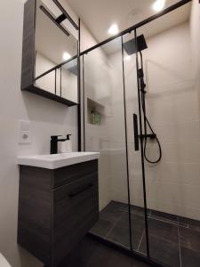リエパーヤにあるCourtyard Condo Twinのバスルーム(シンク、シャワー付) +10枚の写真