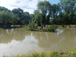 Příroda nedaleko apartmánu