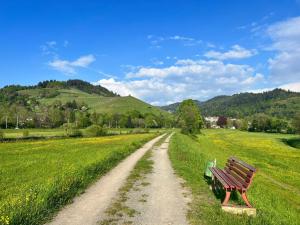 a bench sitting on the side of a dirt road at Black Forest Apartments in Gengenbach