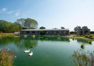 a pond with swans and ducks in front of a building at Roe Deer Barn in Briston