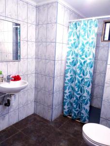 La salle de bains est pourvue d'une douche, d'un lavabo et de toilettes. dans l'établissement LA CABAÑA IDEAL PARA FAMILIAS DE 6 a 12 PERSONAS!, à Hanga Roa