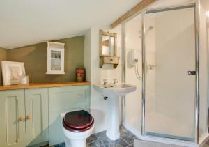 a bathroom with a shower and a toilet and a sink at Sky Cottage in Worstead