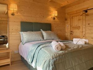 a bedroom with a bed in a log cabin at Cabin 438 - Clifden in Clifden