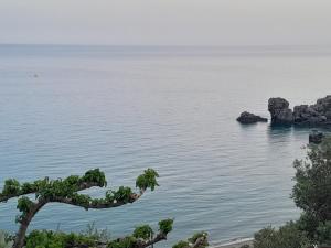 einen Blick auf das Meer mit einem Baum in der Unterkunft Livikon Studios & Rooms in Rodakino