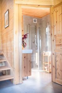ein Bad mit einer Dusche und einer Treppe in einem Zimmer in der Unterkunft Szalejówka Domki in Kłodzko