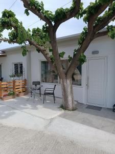 a patio with a tree and a chair next to a garage at Studio Evridiki in Georgioupolis