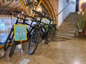 Jazda na bicykli v okolí ubytovania Hotel Staropolska