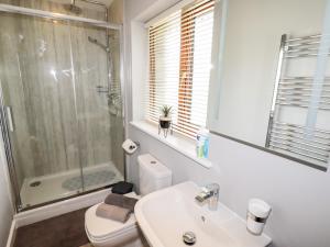 a bathroom with a toilet and a shower and a sink at Bryn Elsi in Betws-y-coed +26 photos