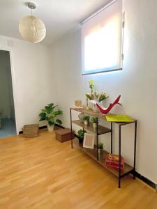 una habitación con un estante con plantas y una ventana en A casa do pai en Pontevedra
