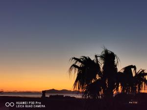 eine Silhouette einer Palme bei Sonnenuntergang in der Unterkunft Brezza Salina in Torre Nubia