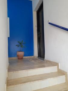 una pianta in vaso seduta sulle scale di fronte ad una porta di Nawal Tigumi ad Agadir