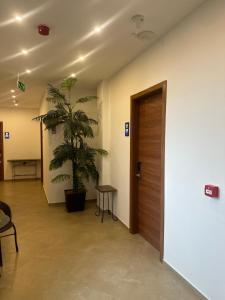Foto dalla galleria di Hotel Homey Kobuleti a Kobuleti