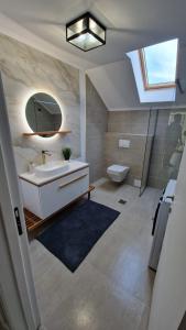 a bathroom with a sink and a toilet and a mirror at Matei Apartments in Baia Mare