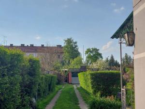 einen Garten mit einem Pfad durch eine Hecke in der Unterkunft Nordic Dream Apartment in Kikinda in Kikinda