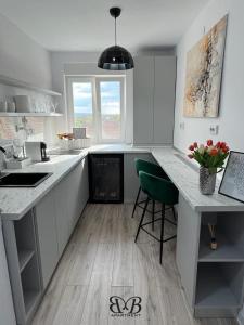 Kuchyň nebo kuchyňský kout v ubytování B&B Apartment