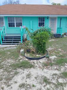 a blue house with a plant in front of it at Windsor place in Hermitage