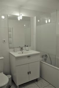 La salle de bains est pourvue d'un lavabo, de toilettes et d'un miroir. dans l'établissement Le vieux pont, à Saint-Julien