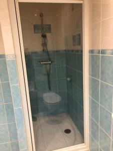 a bathroom with a shower with a toilet in it at Au Cœur des montagnes in La Chalp +7 photos