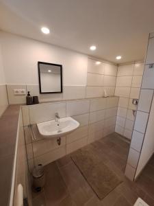 La salle de bains est pourvue d'un lavabo et d'un miroir. dans l'établissement Ferienwohnung Butscher, à Riedlingen