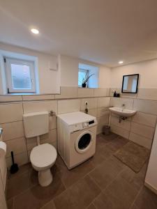 a bathroom with a toilet and a washing machine at Ferienwohnung Butscher in Riedlingen