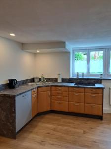 una grande cucina con armadi in legno e lavandino di Ferienwohnung Butscher a Riedlingen Altre 5 foto
