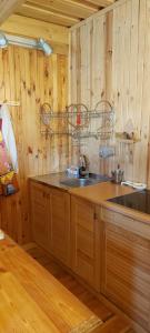 a kitchen with a sink and wooden walls at Gowidlino - Domek Letniskowy nad Jeziorem in Gowidlino