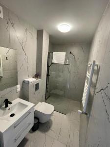 a bathroom with a shower and a toilet and a sink at Natura Park in Jastrzębia Góra