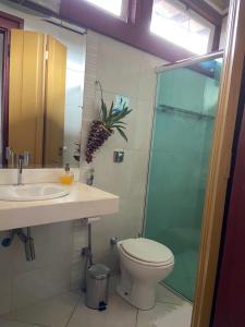 uma casa de banho com um chuveiro, um WC e um lavatório. em Casa Nossa Senhora do Carmo em Ouro Preto