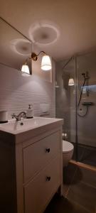 a bathroom with a sink and a shower and a toilet at Villa Gitta in Vela Luka +42 photos