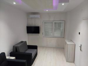 TV a/nebo společenská místnost v ubytování Apartman Aleksić u centru grada